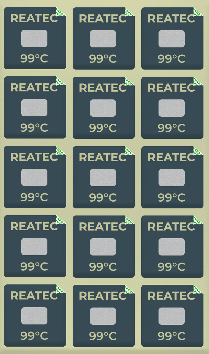 reaPoint professional temperature indicator, 99°C