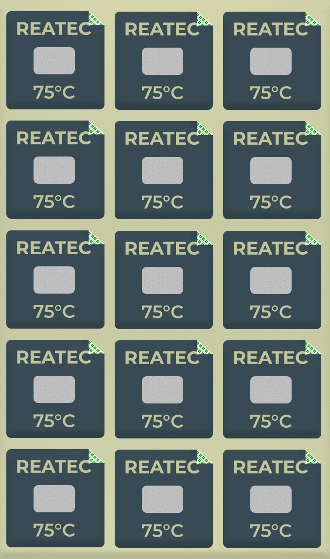 reaPoint professional temperature indicator, 75°C